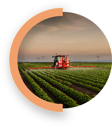 Moving Towards Inclusive Growth and Sustainability in Indian Agriculture - Kingsley Gate