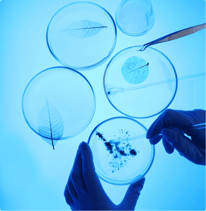 Healthcare Life Sciences